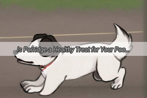 Is Porridge a Healthy Treat for Your Pooch Unveiling the Truth About Canine Comfort Food